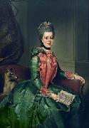 Johann Georg Ziesenis Portrait of Princess Frederika Sophia Wilhelmina oil painting artist